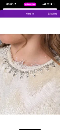 Миниатюра 6