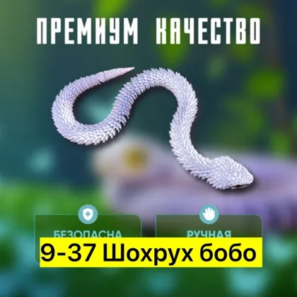 Миниатюра 5