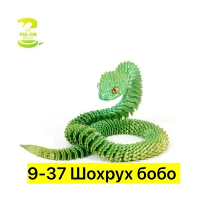 Миниатюра 6