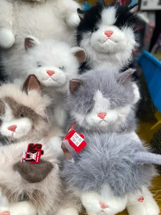 Супер новинка Мягкая игрушка Котик музыкальный 40 см. Цена Штучно 700 . Цена 3