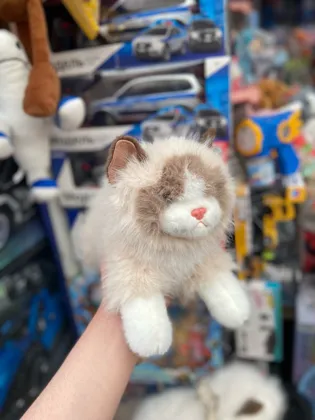 Миниатюра 2