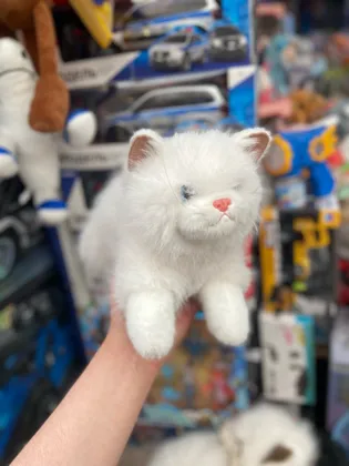 Миниатюра 3