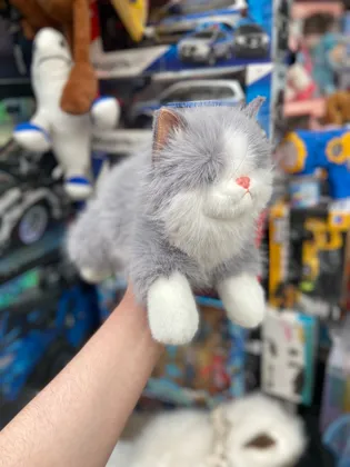 Миниатюра 4