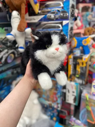 Миниатюра 5