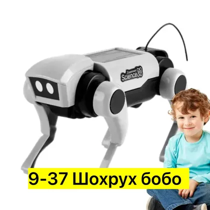 Миниатюра 3