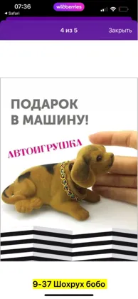 Миниатюра 4
