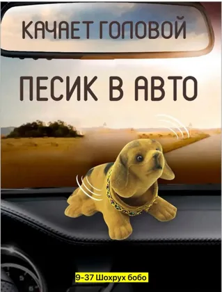 Миниатюра 5