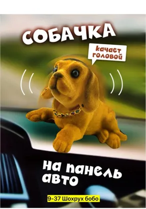 Миниатюра 8