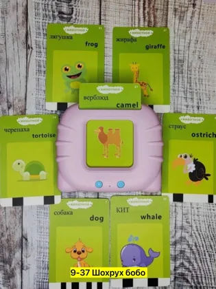 Миниатюра 2