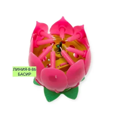 Миниатюра 3