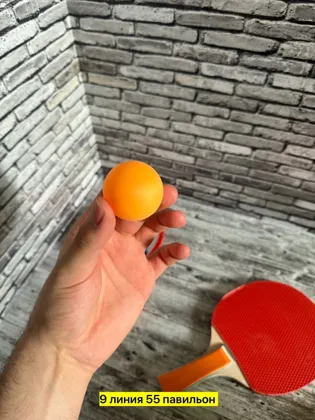 Миниатюра 5