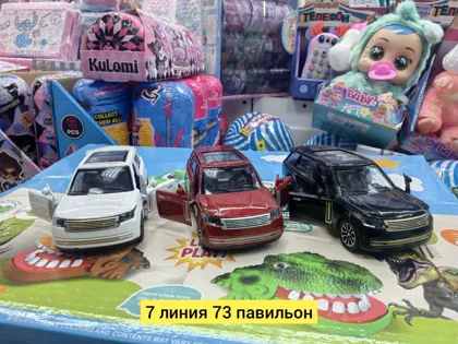 Миниатюра 6