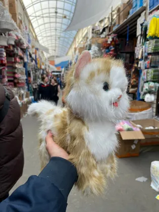 Миниатюра 2