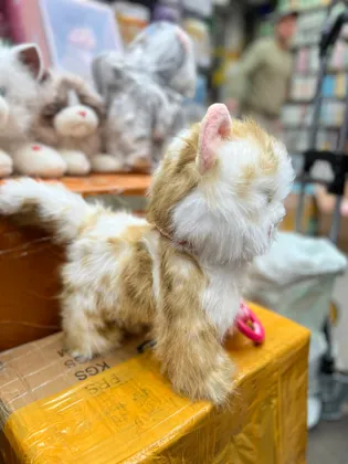 Миниатюра 3