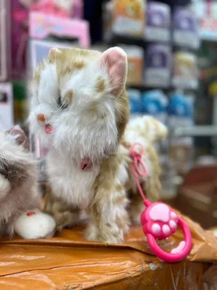 Миниатюра 6