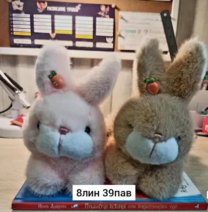 Миниатюра 4