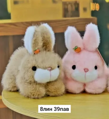 Миниатюра 6