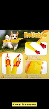 Миниатюра 4