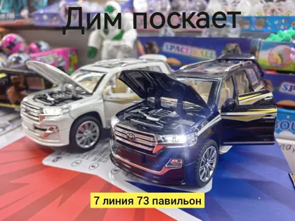 Миниатюра 6