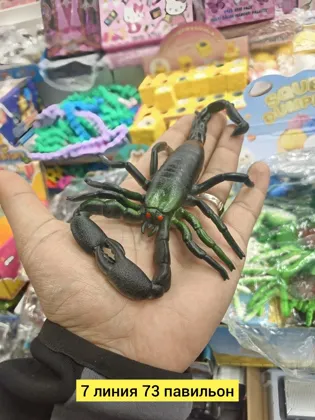 Миниатюра 4