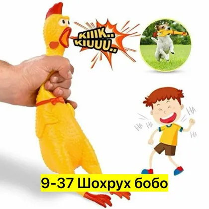 Миниатюра 2