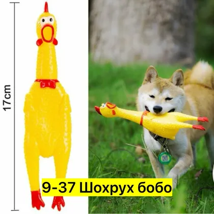 Миниатюра 4