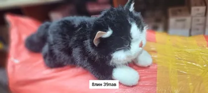 Миниатюра 3