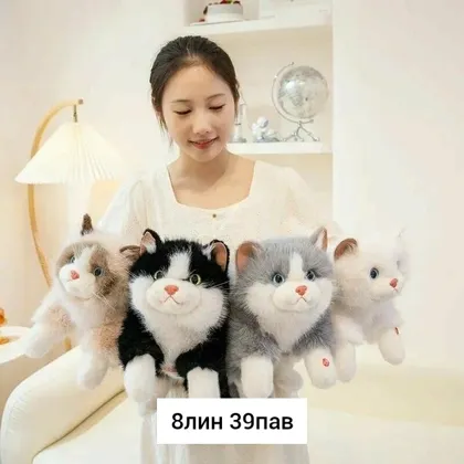 Миниатюра 5