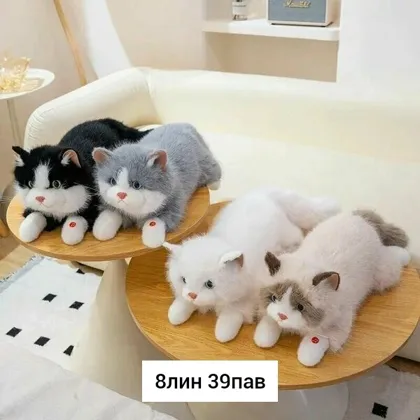 Миниатюра 6