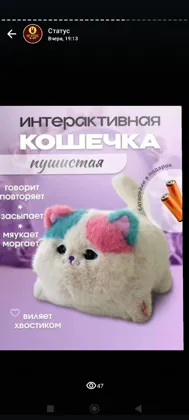 Миниатюра 6