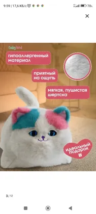 Миниатюра 8