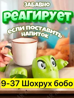 Миниатюра 5