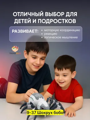 Цена штучно: 1250руб Игрушка, пластик Для мужчин и для женщин Паук робот на радиоуправлени