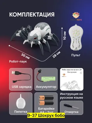 Миниатюра 6