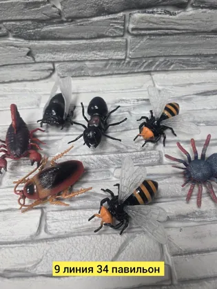 Миниатюра 2