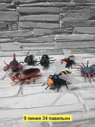 Миниатюра 3