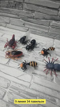 Миниатюра 4