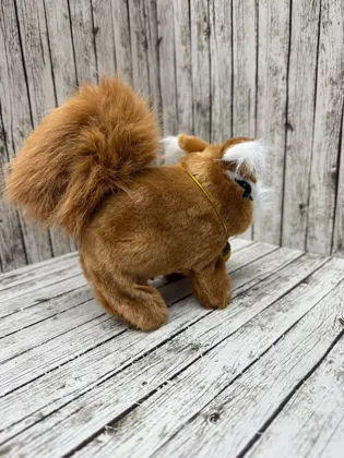 Миниатюра 6