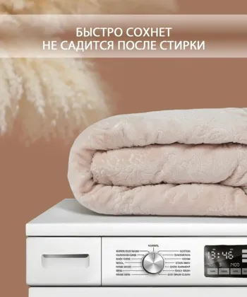 Миниатюра 5