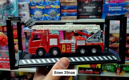 Миниатюра 3