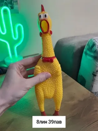 Миниатюра 3