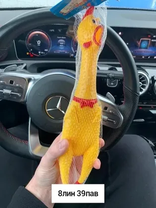 Миниатюра 5