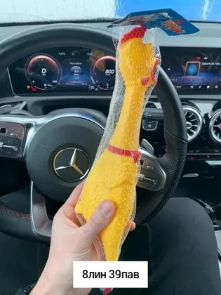 Миниатюра 7