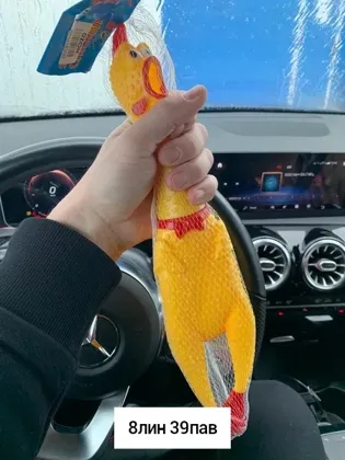 Миниатюра 8