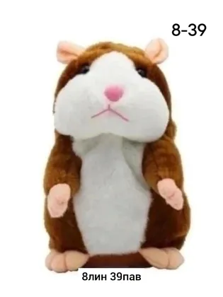 Миниатюра 5