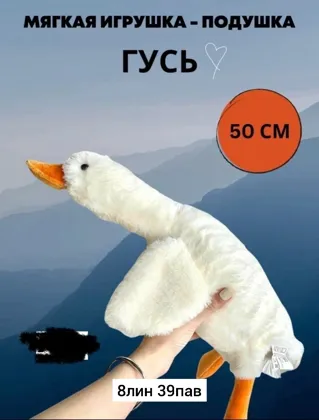 Миниатюра 5