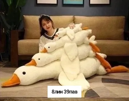 Миниатюра 7