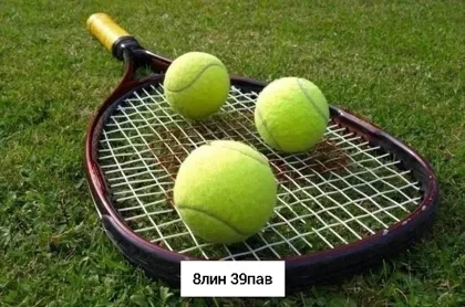 Миниатюра 3