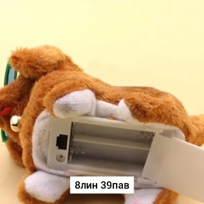 Миниатюра 6