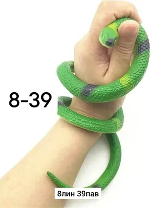 Миниатюра 5